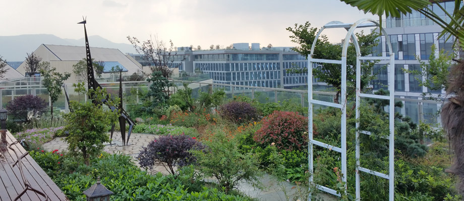 南京萬通城市建設(shè)設(shè)計院弱電系統(tǒng)項目案例。